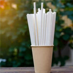 Paper Straws